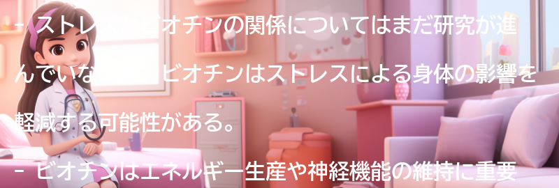 ストレスとビオチンの関係の要点まとめ